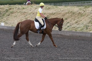 ISIS Dressage Challenge 2008